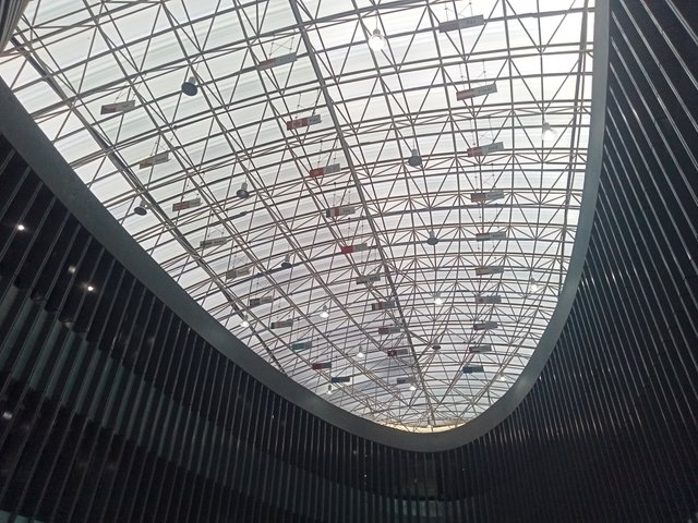 IMG20250812143305.jpg
