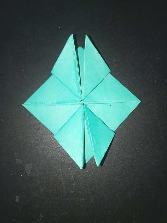 1000029800.jpg