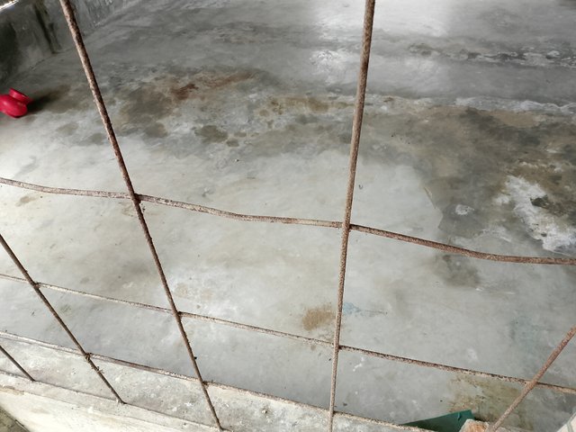 1000045972.jpg