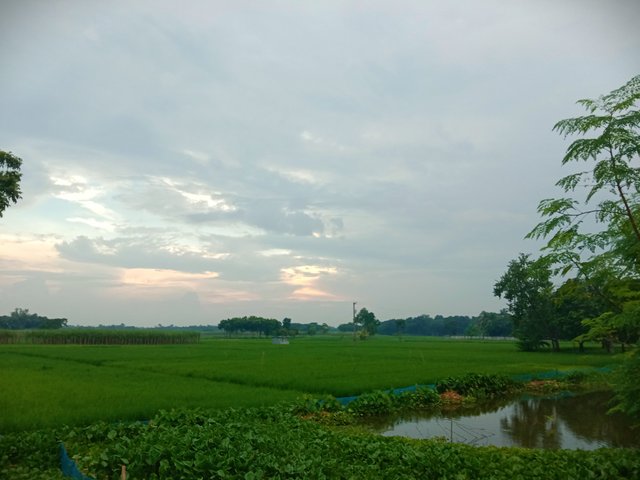 IMG_20250914_210717.jpg