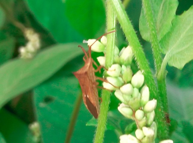 IMG_20210529_181752 (1).jpg