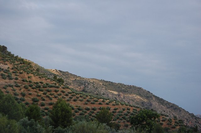 k-DSC_0501.JPG
