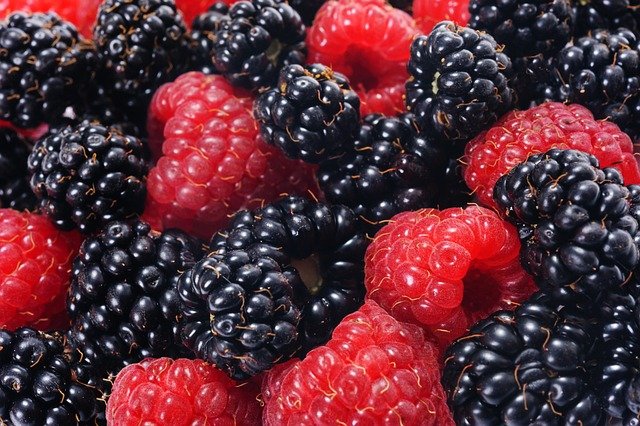 raspberries-and-blackberries-5001160_640.jpg