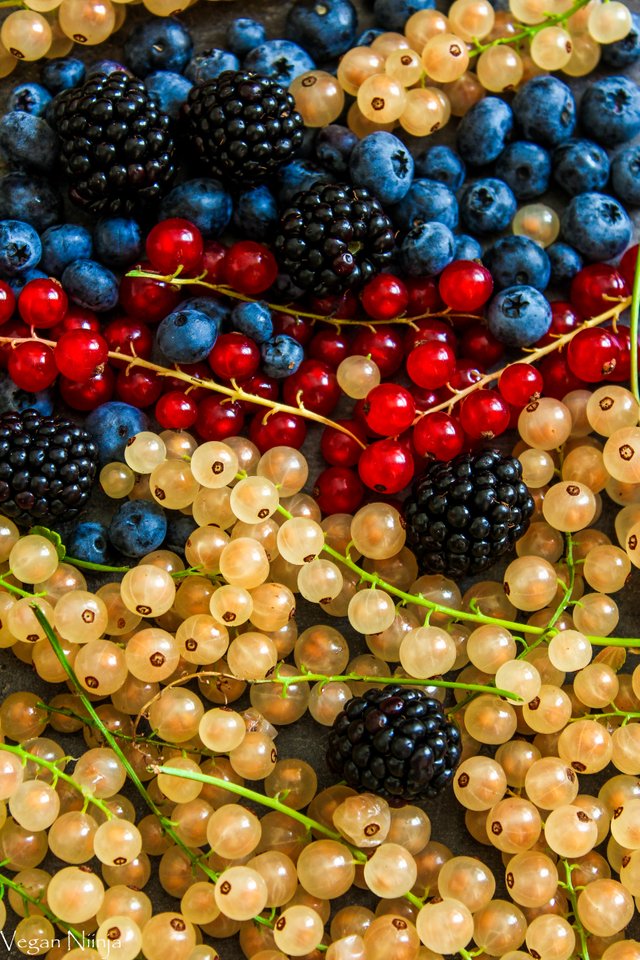 berries (1 von 1).jpg