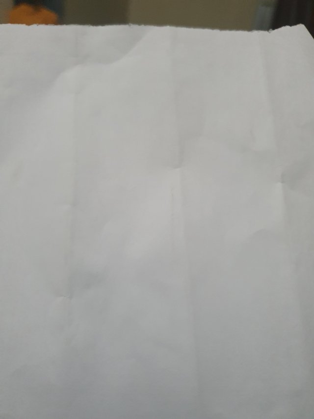 20250425_145458.jpg