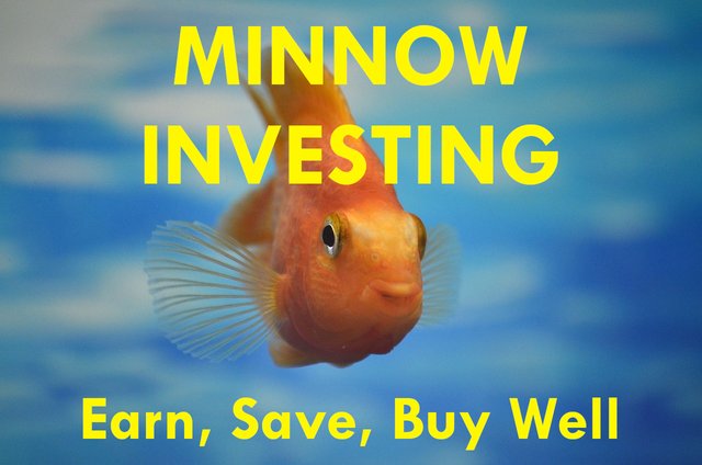 Minnow Investing.jpg