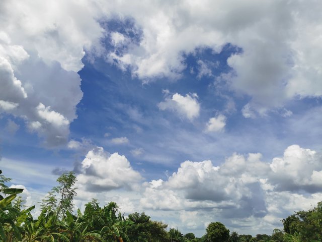 IMG_20240831_130938.jpg