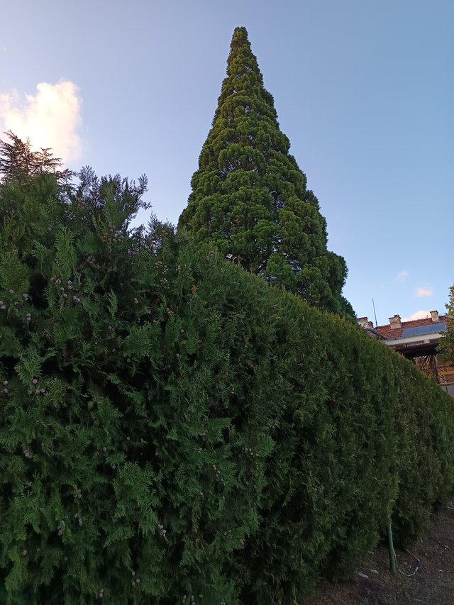 1760171389202.jpg