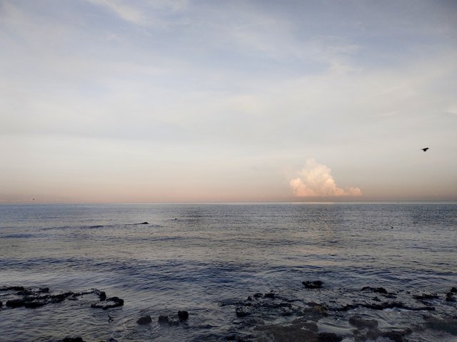 IMG_20251004_054828.jpg