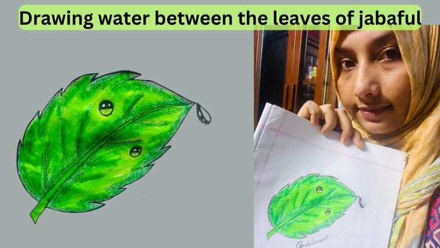 Water in the leaves of Jabaful.png