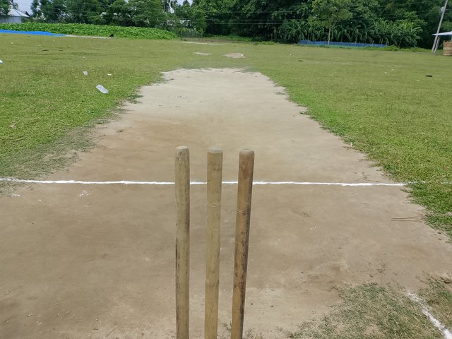 1000043796.jpg
