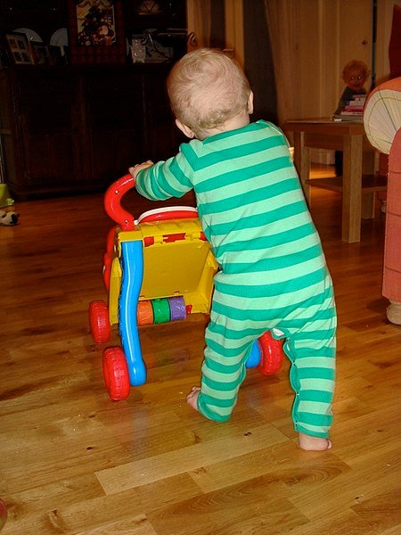 450px-Learning_to_walk_by_pushing_wheeled_toy.jpg
