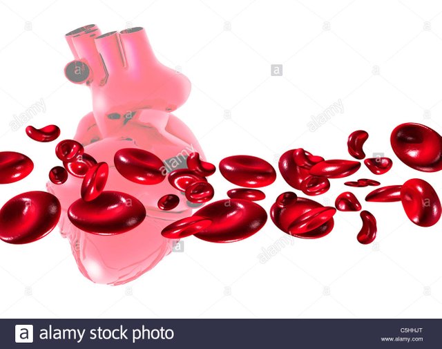 red-blood-cells-and-heart-artwork-C5HHJT.jpg