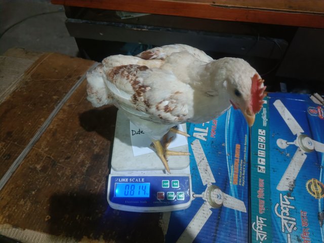 IMG20250601162557.jpg