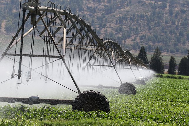 irrigation-6986021_1280.jpg