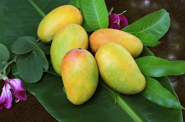 Indian-mangoes-in-the-US.jpg