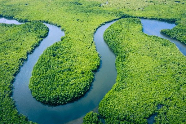 aerial-view-amazon-rainforest-brazil-600nw-1706281933.jpg