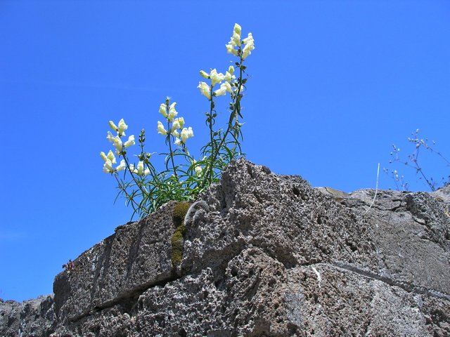 s250608-101.JPG