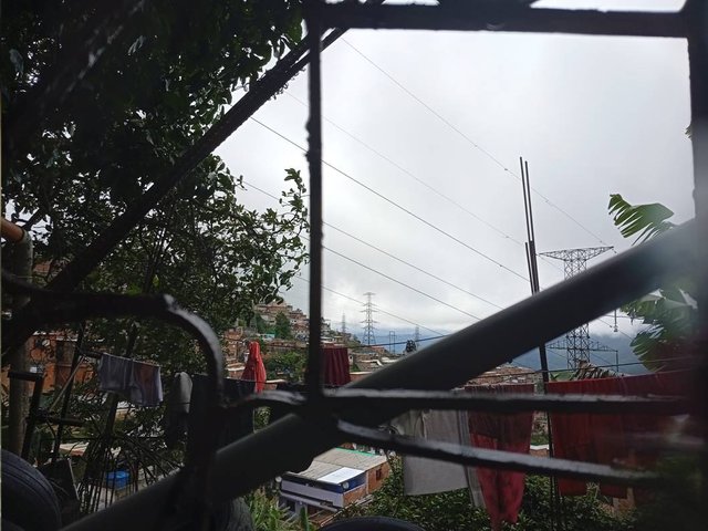 IMG_20250620_101309.jpg