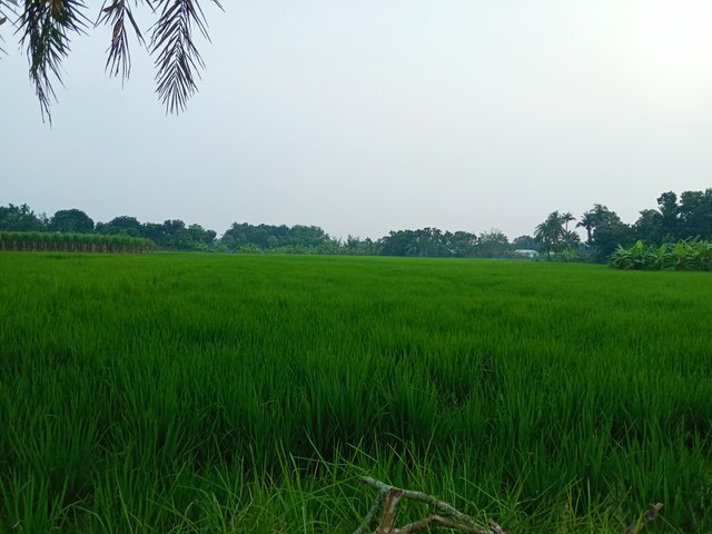 IMG_20250920_184027.jpg