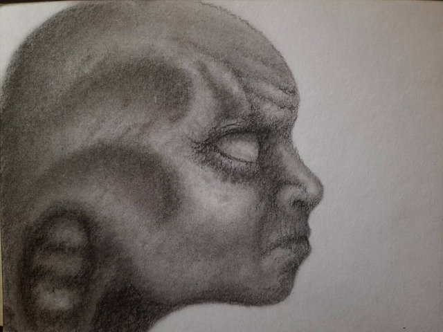 20250422_112153.jpg
