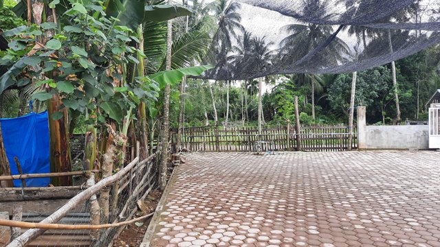 20211219_151444.jpg