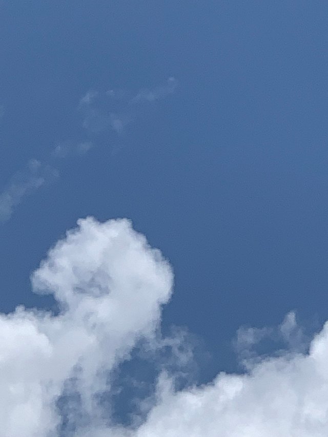 sky8.jpg