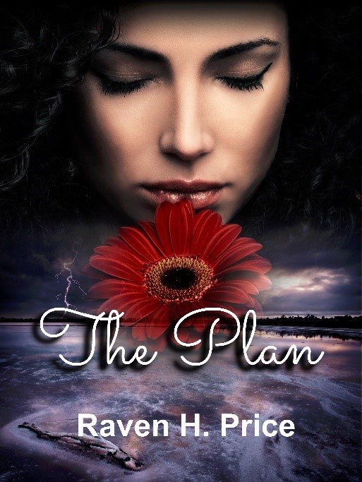 The Plan new cover.jpg