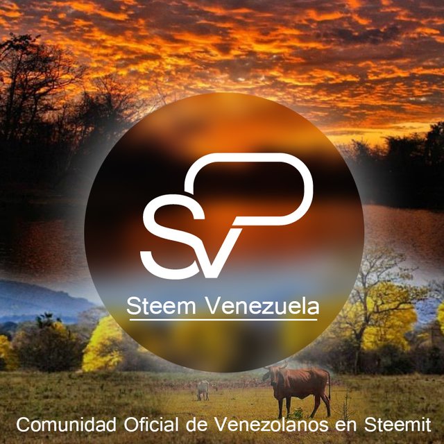 Banner Steem Venezuela.jpg