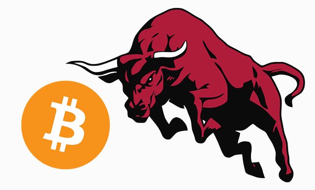 bitcoin-bulls-trend-bitnovosti.jpg