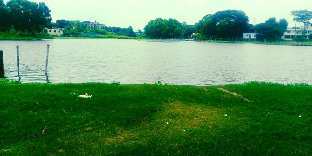 InShot_20250907_234924312.jpg