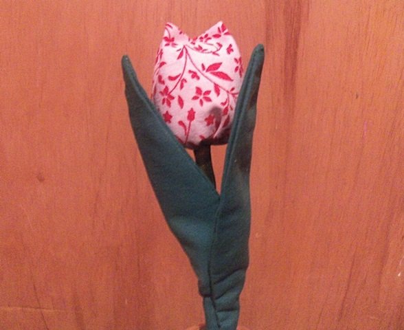 0 -  Flor de tulipan.JPG