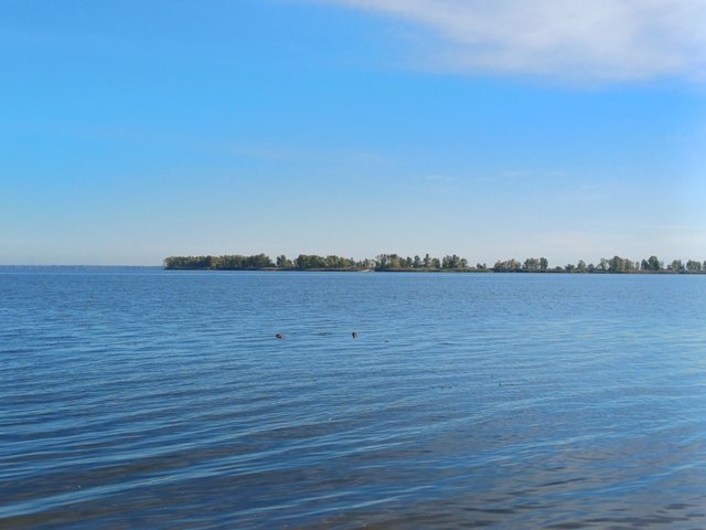 20250927_095758.jpg