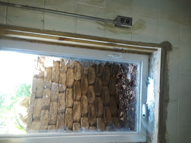 P1 Egress Window T.jpg