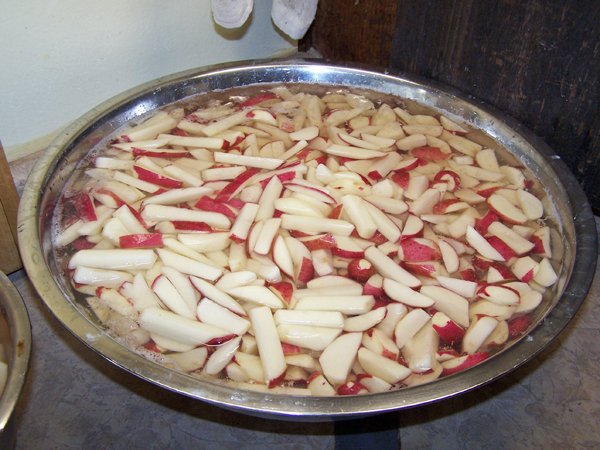 French Fries - cut, in water2 crop Aug. 2018.jpg