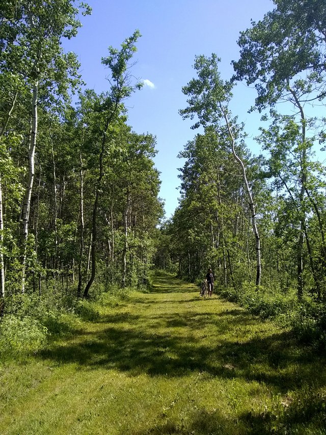 Kenosee Trails aaa.jpg