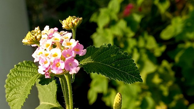 20240927_164546.jpg
