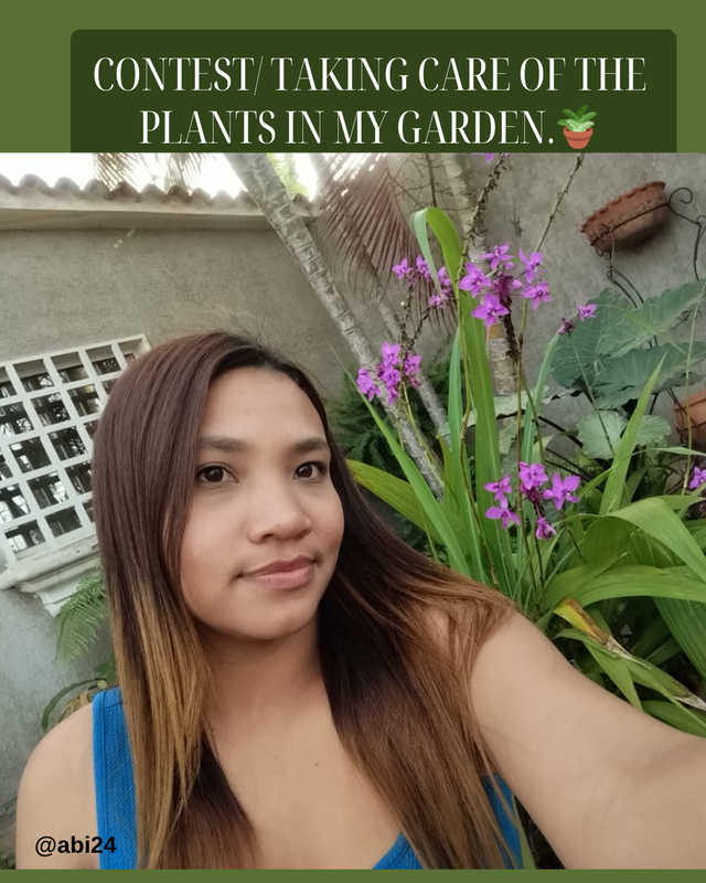 Contest Taking care of the plants in my garden.🪴.png