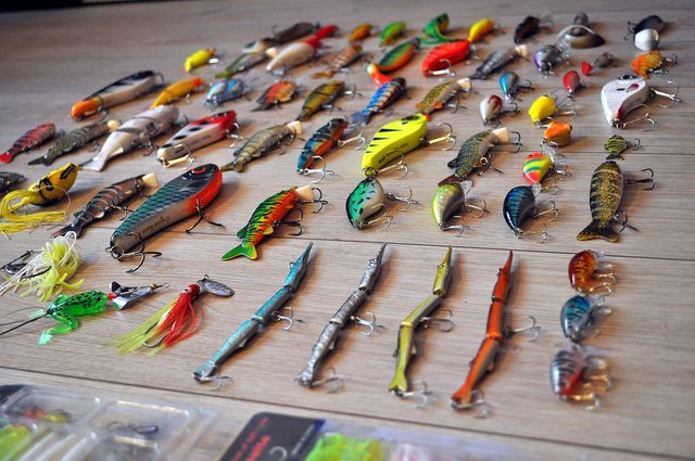 fishing-2669218_1280.jpg