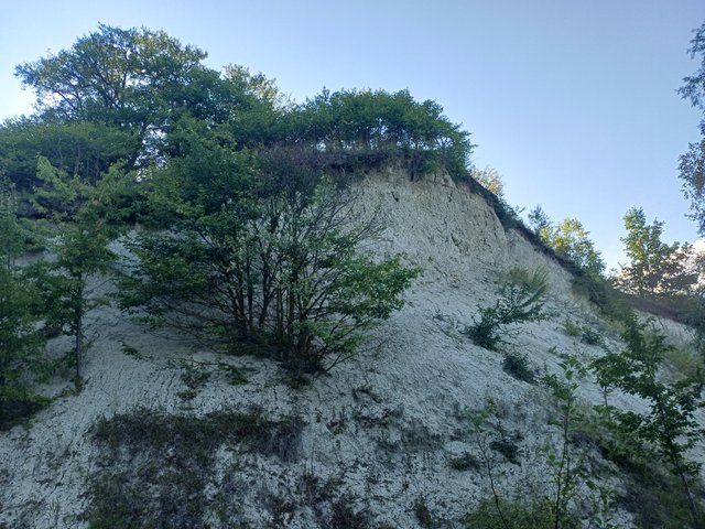 20250802_180938.jpg