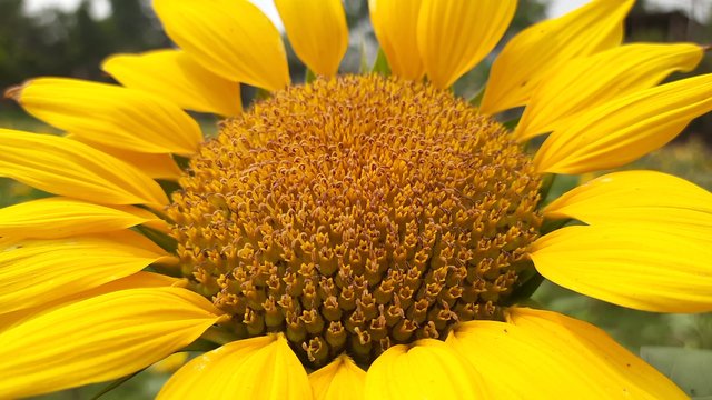 20210310_121236.jpg