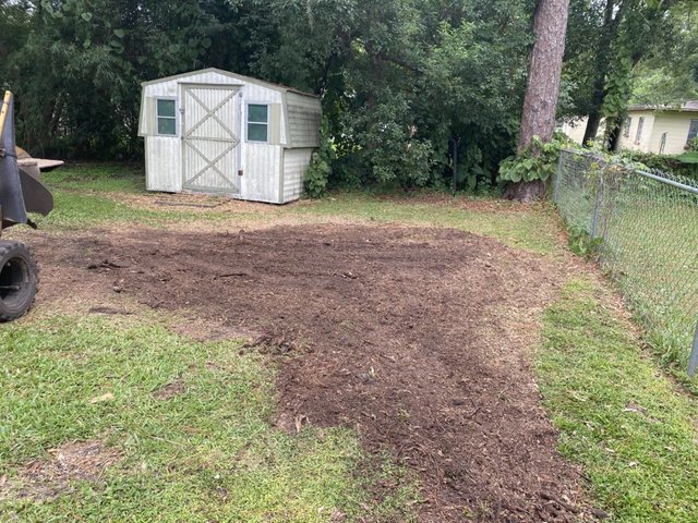 stump grinding st augustine florida.jpeg