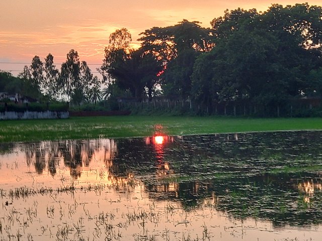 20250716_184157.jpg
