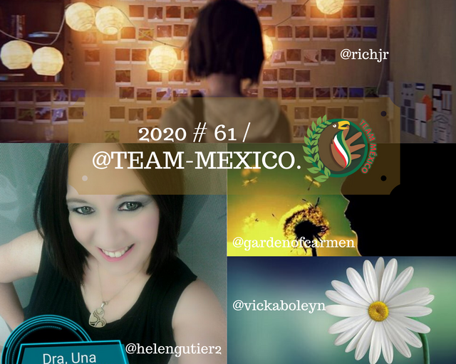2020 # 61 _ @team-mexico..png