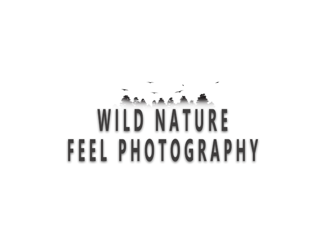 Logo wild nature feel SLOGAN.png