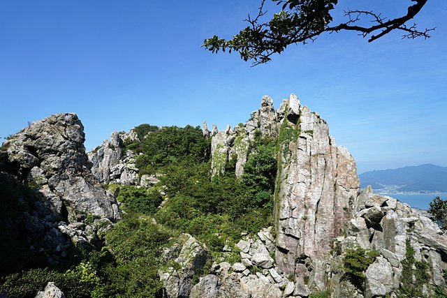 b-DSC08302.JPG