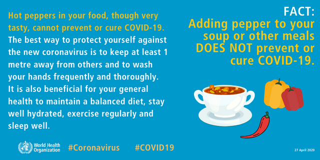 Coronavirus Myth Busting Post 2.png