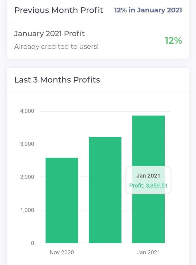 profit-jan-2021.jpg