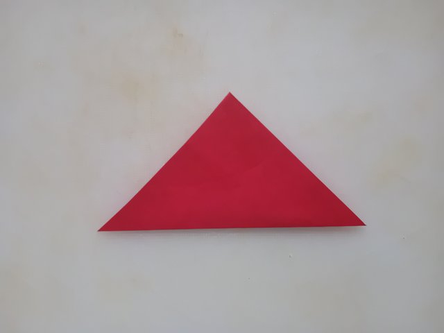 1000038176.jpg