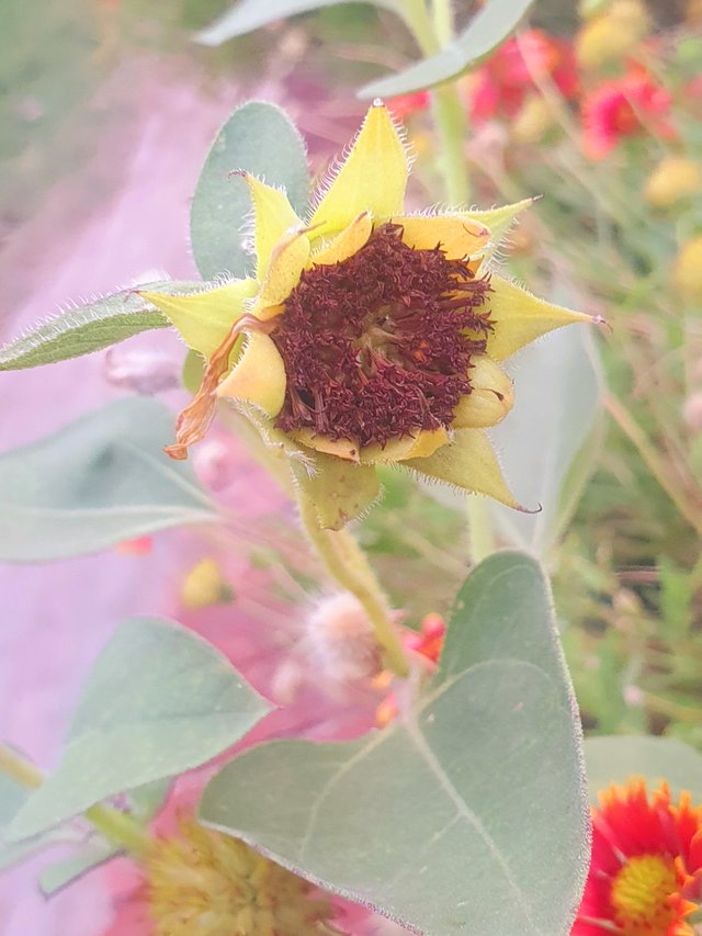20250727_044921.jpg